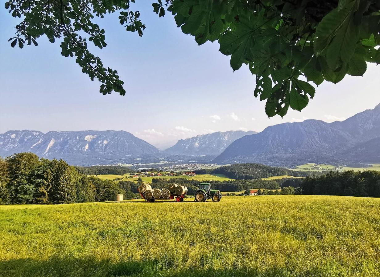 Villa Rosen - Ferienwohnungen Bad Reichenhall Eksteriør bilde