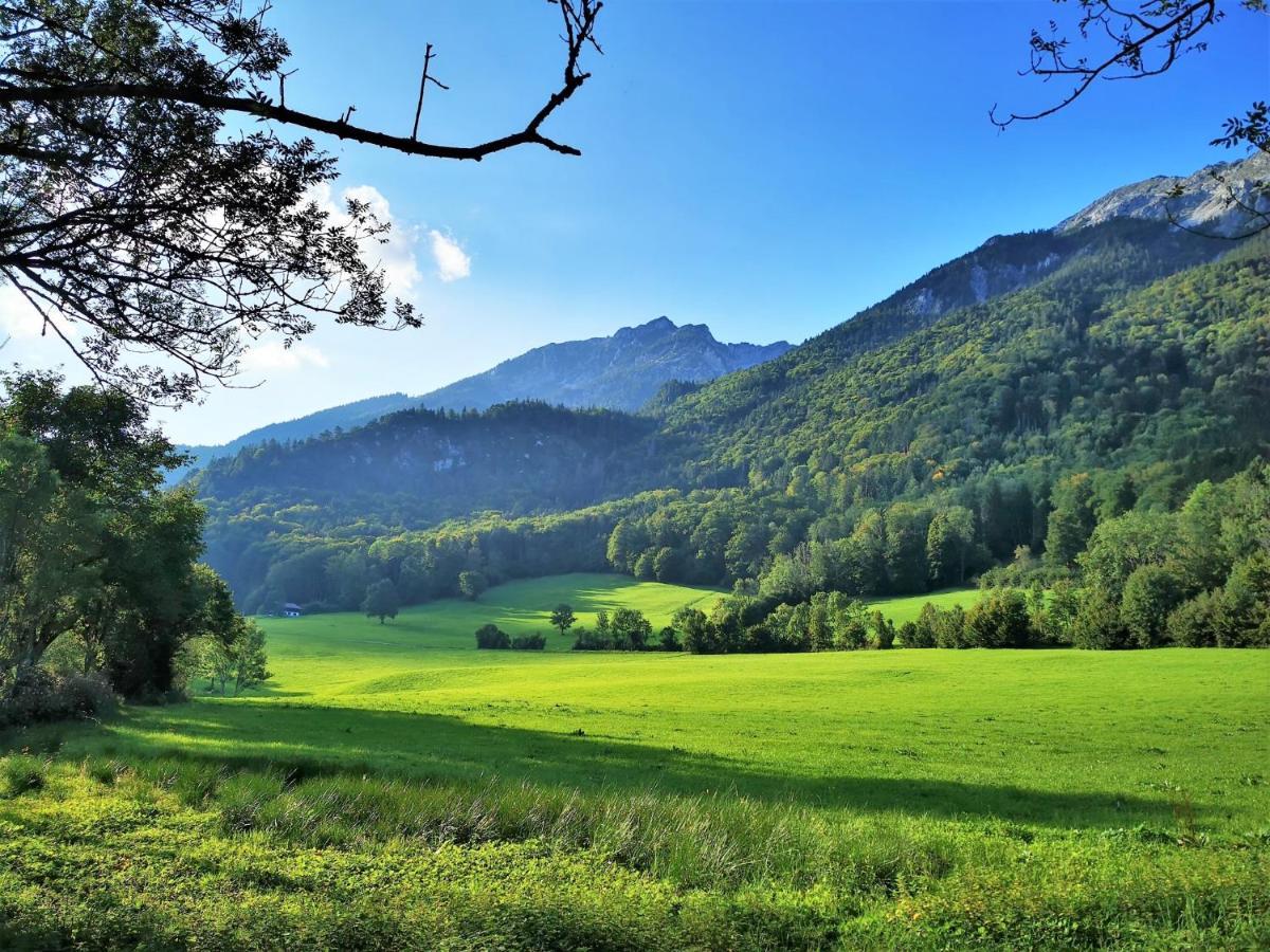Villa Rosen - Ferienwohnungen Bad Reichenhall Eksteriør bilde